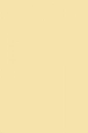 FARROW AND BALL FARROWS CREAM NO. 67 PAINT